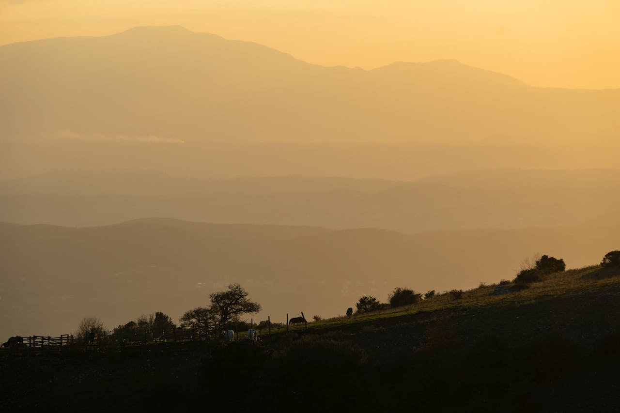 Horses grazing in a misty mountain landscape bathed in golden sunlight at sunrise.